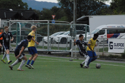 Varfjell - Dahle 2023